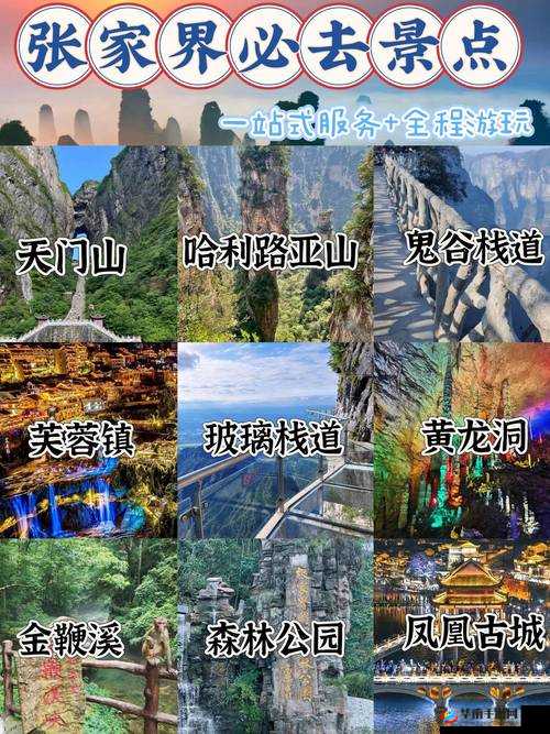 汤姆克兰西全境封锁快速获取凤凰币的实用攻略方法