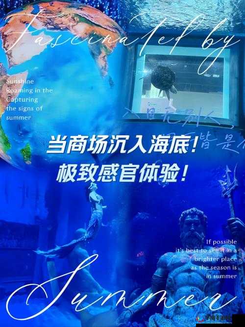 三级特黄：探索极致感官体验