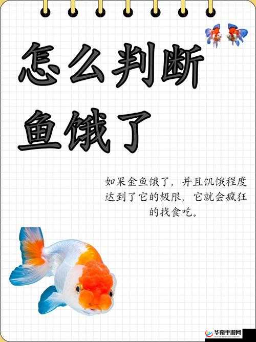 缺氧眼鱼的捕捉方法与技巧解析