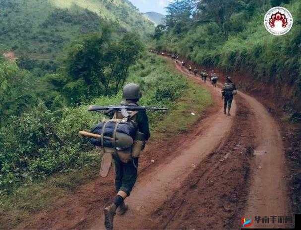 缅北禁地 2024：揭秘神秘之地