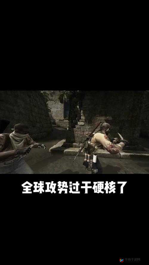 反恐精英全球攻势黑屏解决方法探寻