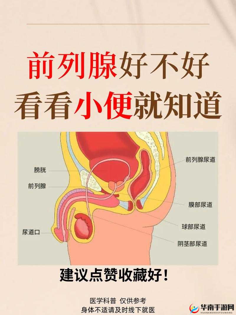 尿道口挤出黄脓：警惕健康问题