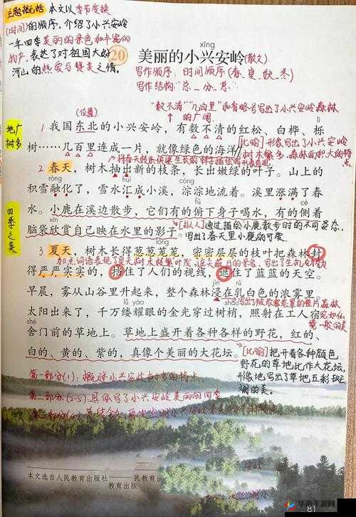 东北大坑乱 1—50：详细解读与分析