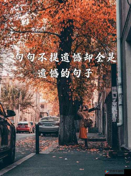 我的 13777 去哪了：探究其背后的故事