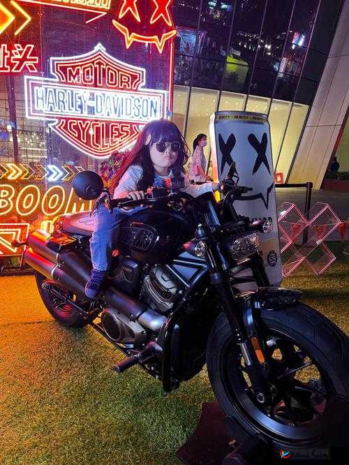 勇者大冒险哈雷骑手坦克全方位解读：属性特点与实力剖析