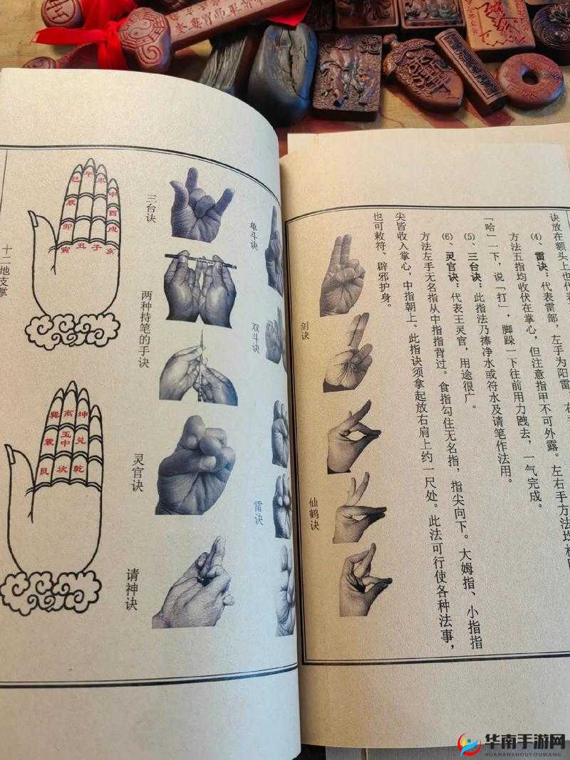 陶唐人面鸟血阵攻略：秘法破解与通关技巧全解析