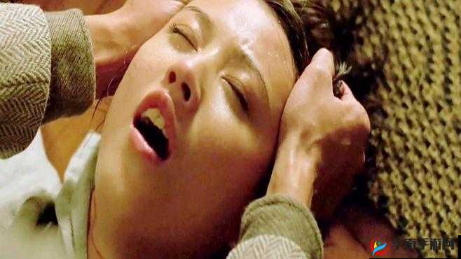 欧美人与兽黄片相关内容探讨