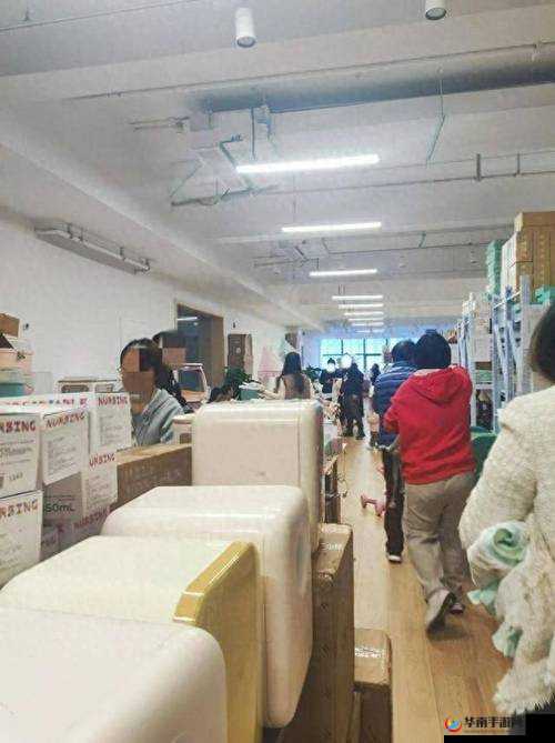 嫖妓大人金先生:独特视角解读他