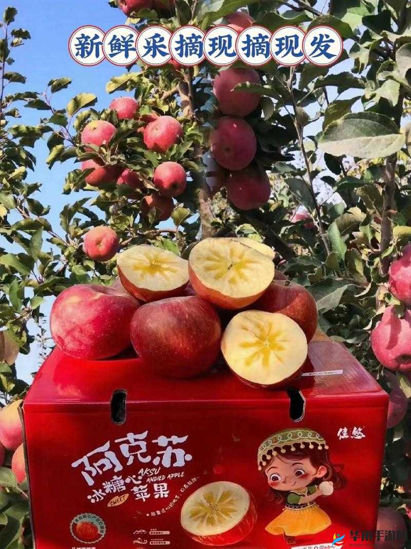 91 糖心：带来甜蜜与惊喜