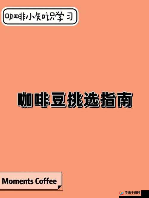 探索CoffeeTalk咖啡新语全饮品配方览：醇香浓韵，带你品味多元咖啡风味