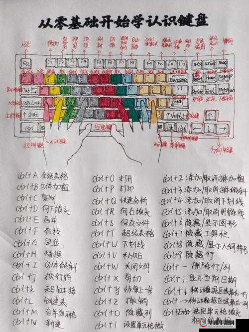 刺客信条大革命键盘键位设置与操作进阶教程