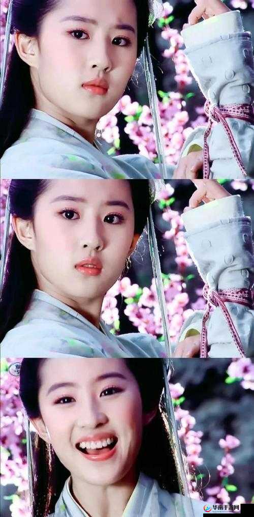 自由之战赵灵儿ad装打法攻略：如何出赵灵儿ad装？