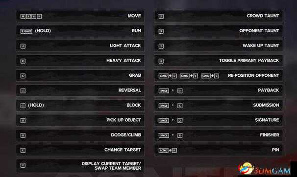 《解决这是警察2游戏白屏问题 攻略与技巧详解》