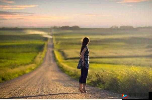 劫后余生勇夺分辨率：从绝境到希望的艰难逆袭之路