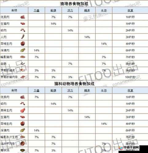 流放者柯南染色系统详解：染色流程操作指南
