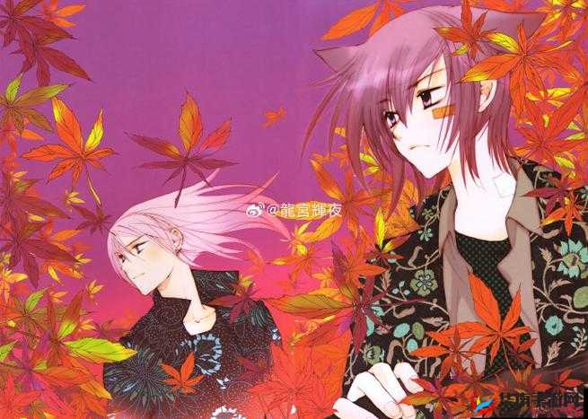 Leaf爱恋:命运之叶的终章