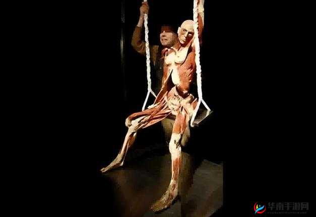 女体采集：探索人体奥秘的新视角