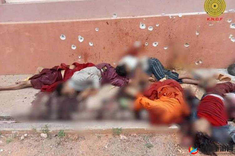 缅甸北部血腥网站 2024:揭秘网络黑暗面