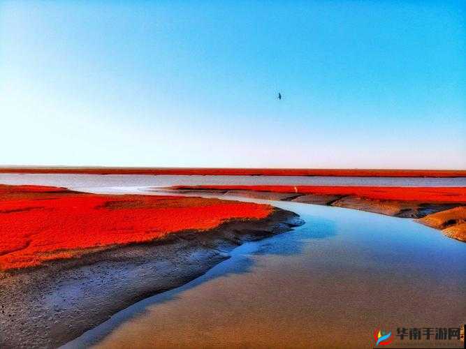 真国无双8隐藏景点红海滩在哪？