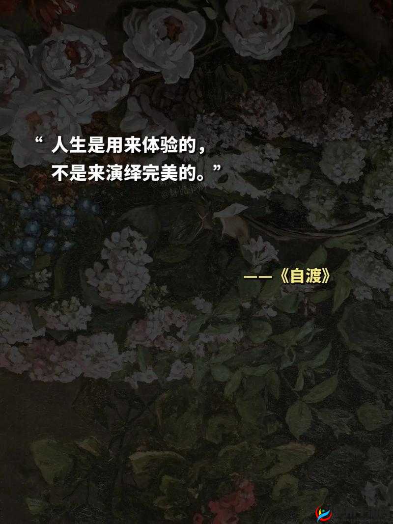 真人做人试看 120 分钟：一场独特的人生体验