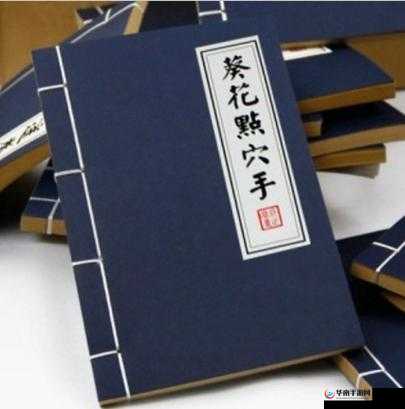 葵花点穴手：神奇武功的秘密与传奇