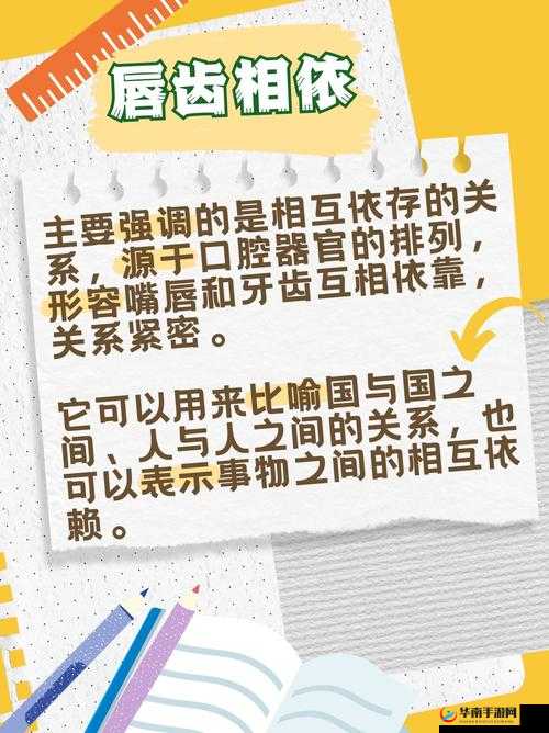 水乳交融和唇齿相依的区别：深度剖析与对比