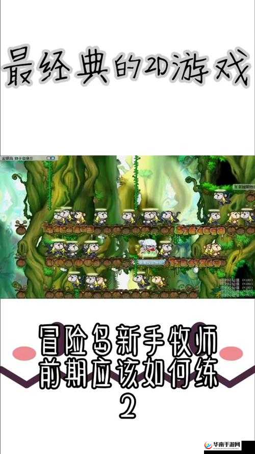 冒险岛2王室挑夫护身锤：守护之力，荣耀之选