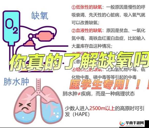 探索奥秘：缺氧时0号元素的挖掘与氧气再利用方法