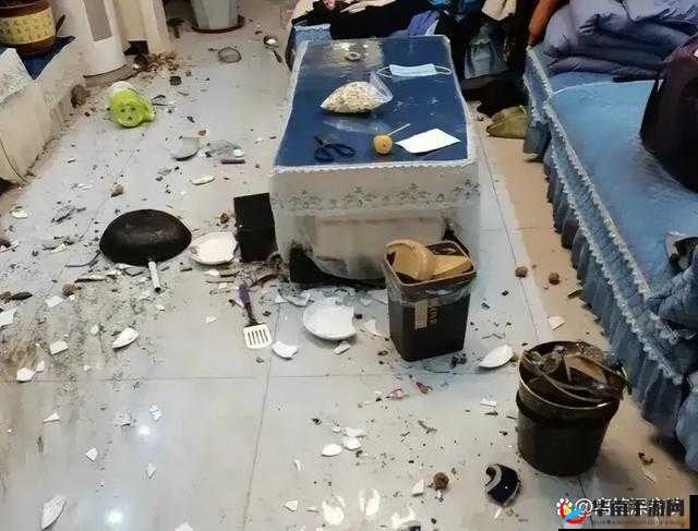 家庭大杂乱：一地鸡毛的生活