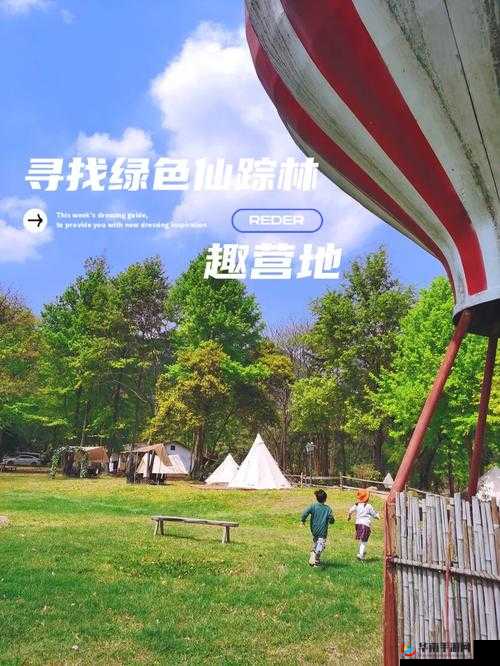 仙踪林在线入口欢迎您免费进- 畅享绿色资源