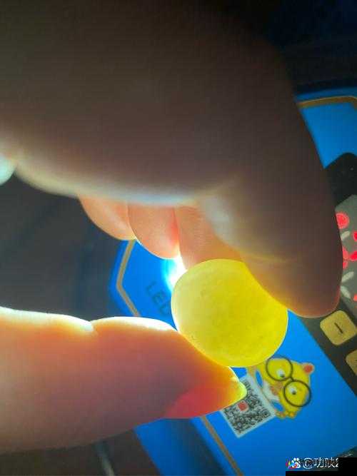 狩猎时刻宠物蛋孵化全攻略 详细解读如何成功孵化宠物蛋的方法与技巧