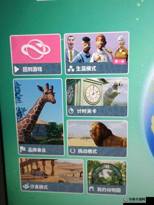 动物园之星：巧放捐钱箱，助力乐园繁荣——最佳摆放位置分享