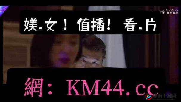 国产精品麻花传媒二三区别：内容与特色