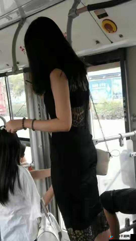 公交艳妇 15：引发热议的事件
