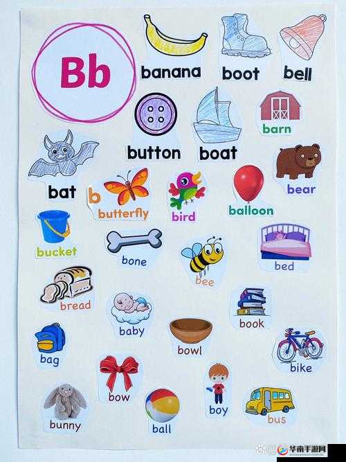 B 和 B 为什么不一样：探究其差异缘由