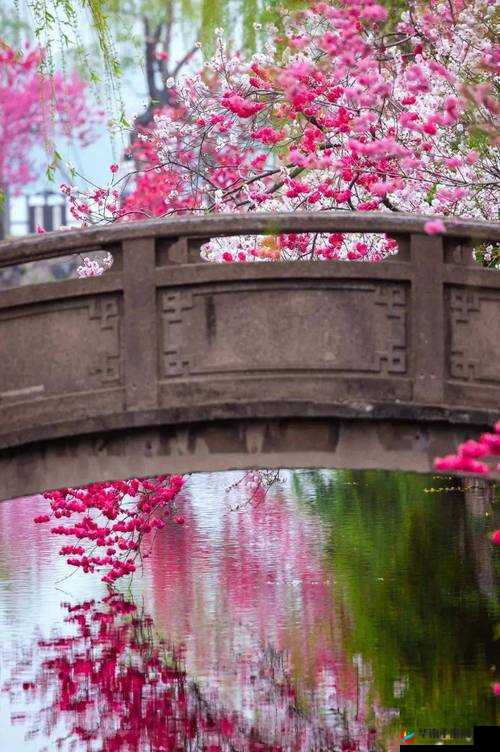 桃花深处水潺潺:静谧之境令人沉醉