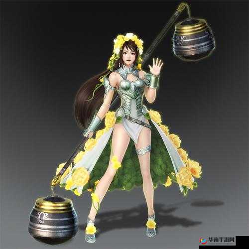 无双大蛇3关银屏角色图鉴:武将背景大揭秘