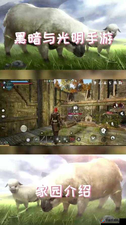 黑暗与光明手游无法登陆之谜