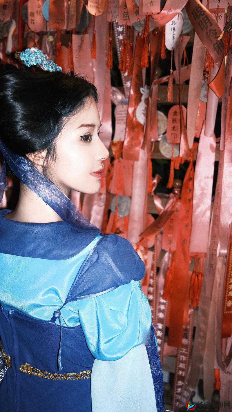 《仙剑6秘闻：龙葵彩蛋全图揭秘》