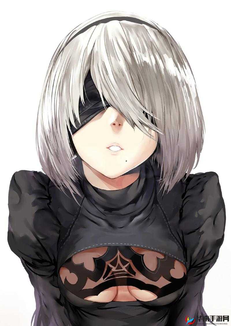 《尼尔机械纪元黑带任务攻略及物品位置介绍》