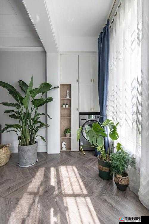 我老公说想在阳台爱我是什么心理：探寻背后的想法