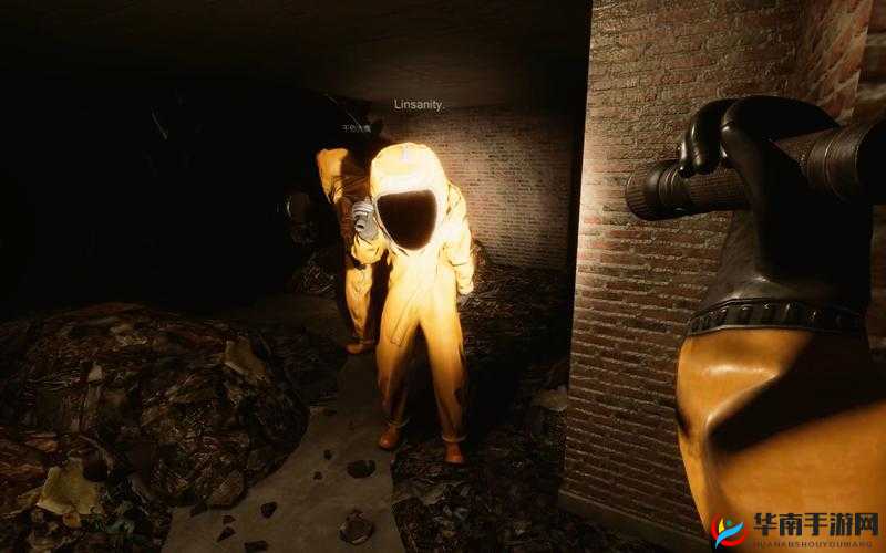 INSIDE第关攻略：突破难关的秘籍