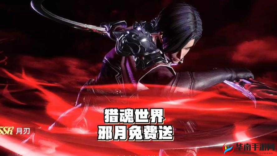 B 站免费版入口：快来体验