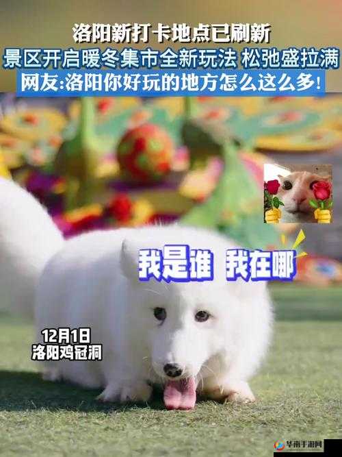 已满十八请点此处转入：开启全新体验