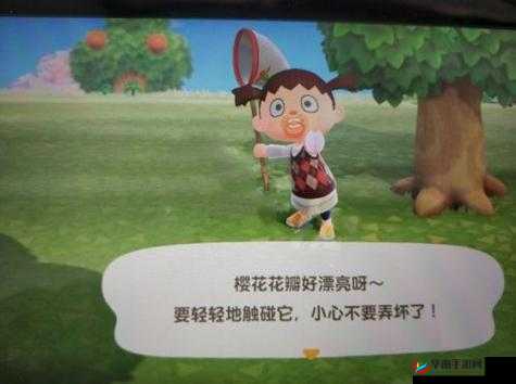 Switch动物之森樱花瓣获取攻略:如何收集樱花花瓣