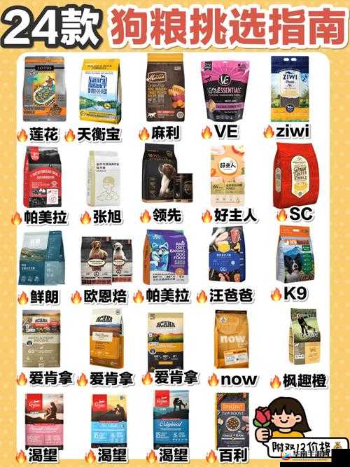 战舰少女防空狗粮选择指南：如何挑选最佳防空狗粮攻略