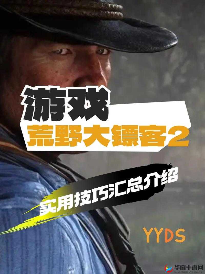 《荒野大镖客2》新手入门攻略：全面掌握游戏技巧，轻松开启冒险之旅