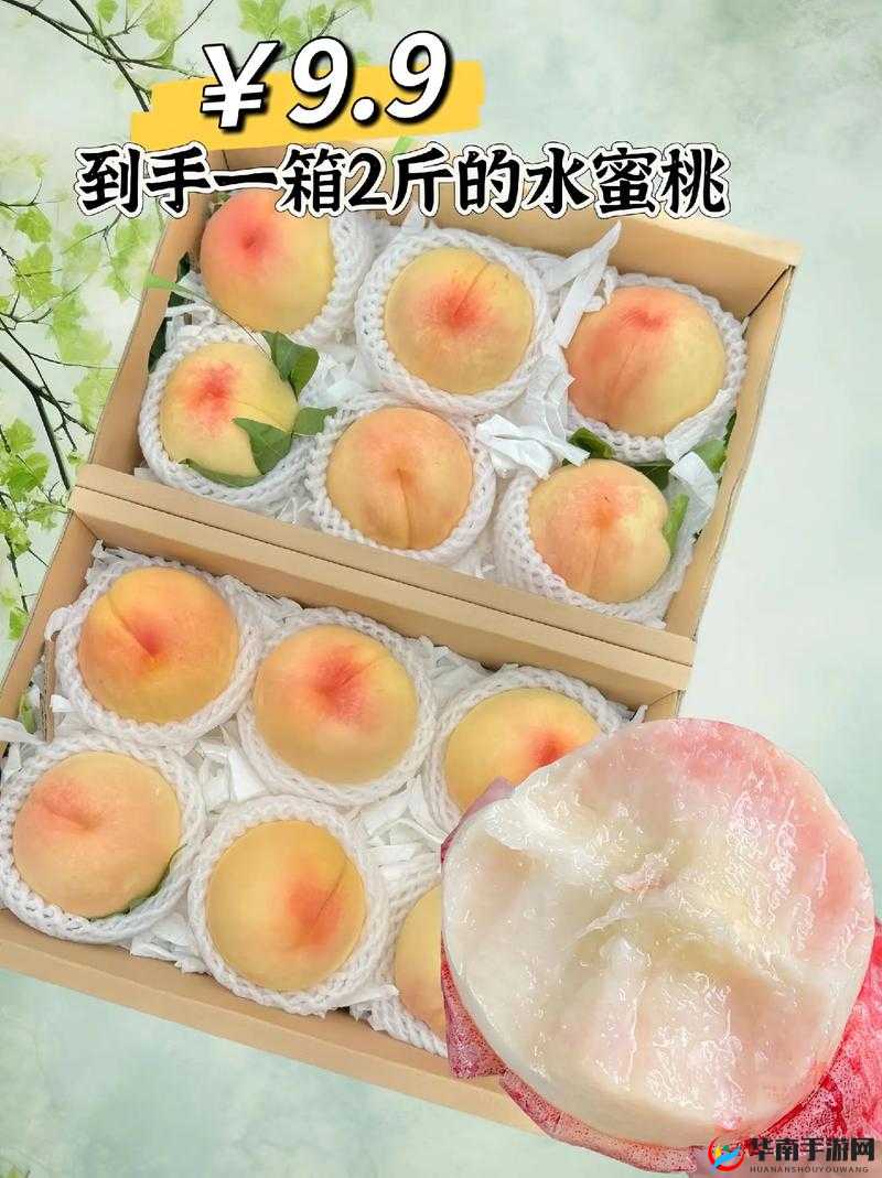 X7X7X7X7 水蜜桃可无限制进入：畅享美味盛宴