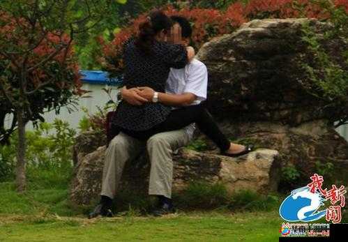 公园里的老年镖客视频大全停播了：背后原因何在