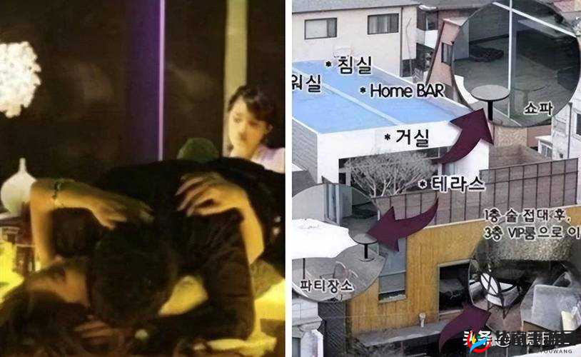 张紫妍视频：韩国财阀性丑闻背后的真相